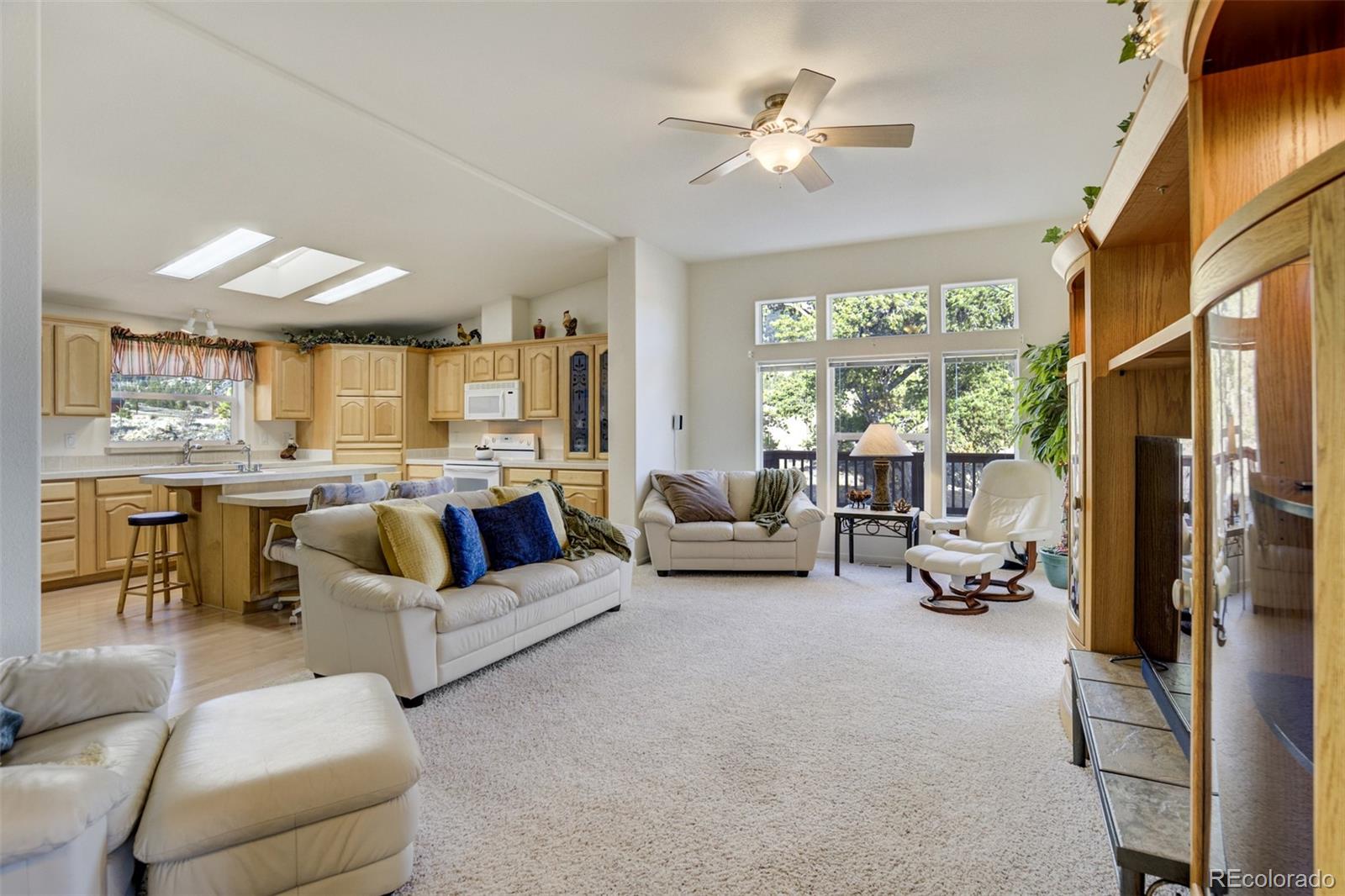 MLS Image #7 for 688  tiara road,lake george, Colorado