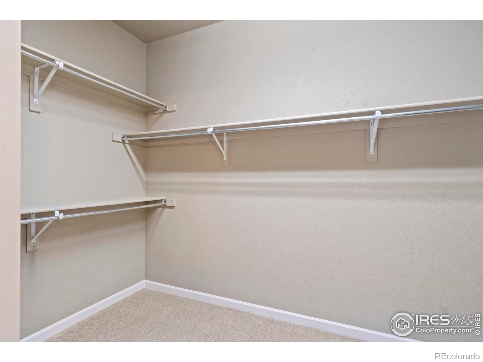 MLS Image #19 for 903  snowy plain road,fort collins, Colorado