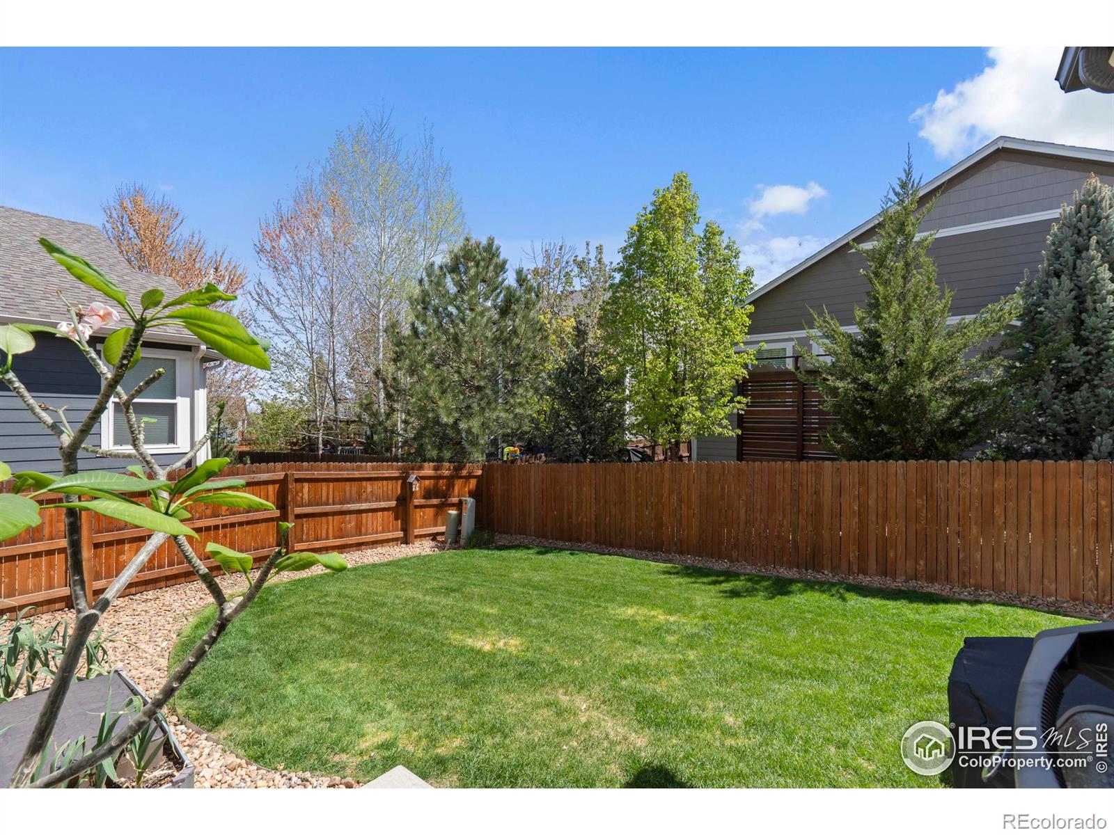 MLS Image #32 for 903  snowy plain road,fort collins, Colorado