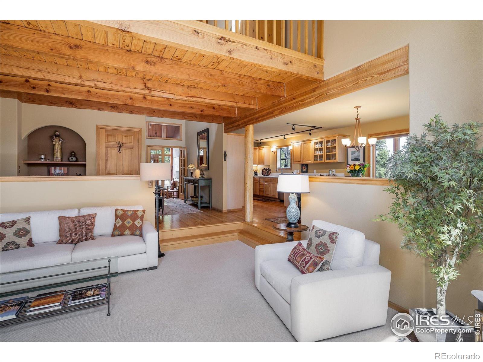 MLS Image #11 for 187  rocky knob lane,nederland, Colorado