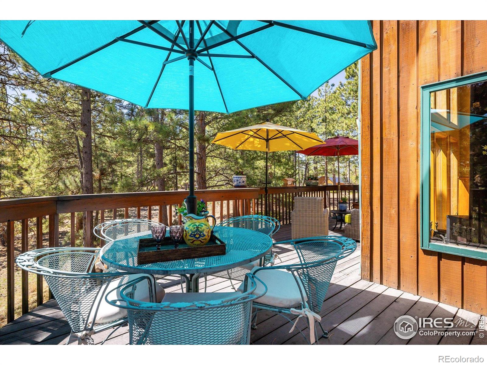 MLS Image #16 for 187  rocky knob lane,nederland, Colorado