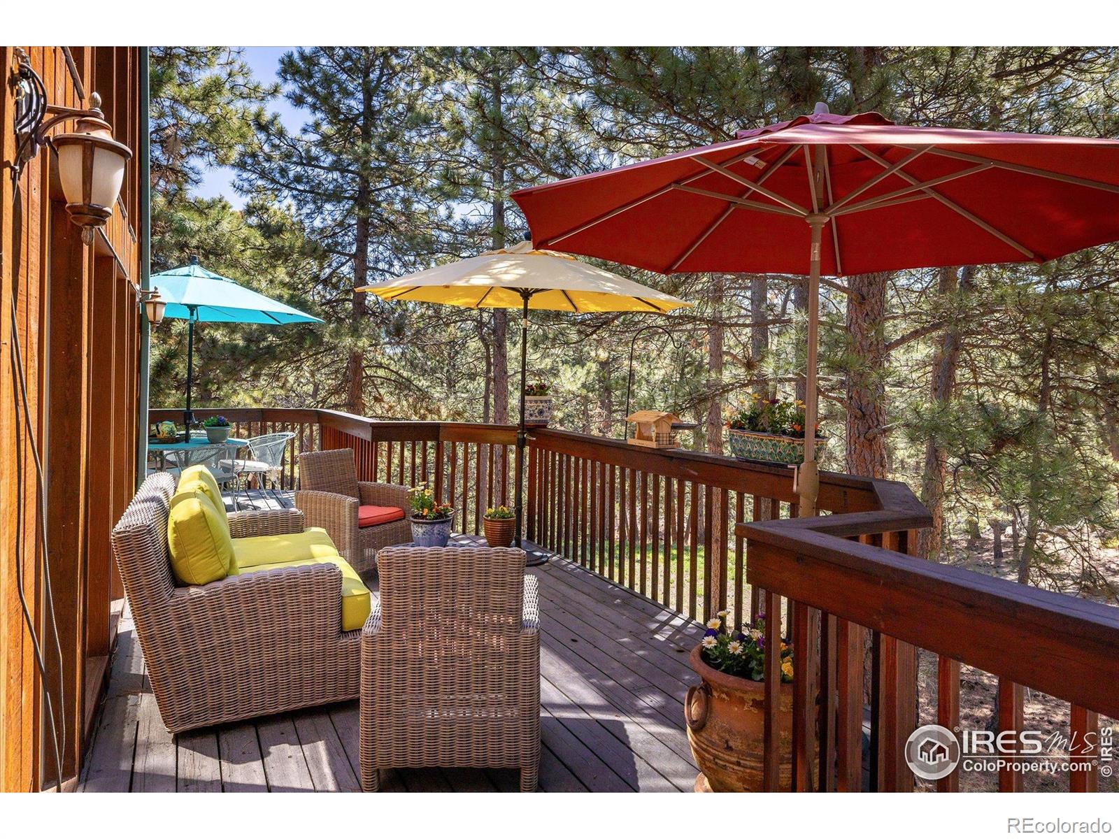 MLS Image #17 for 187  rocky knob lane,nederland, Colorado