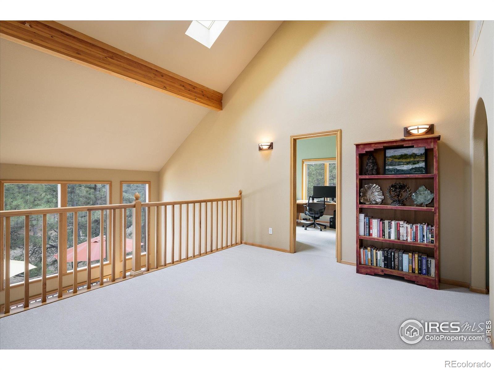 MLS Image #20 for 187  rocky knob lane,nederland, Colorado