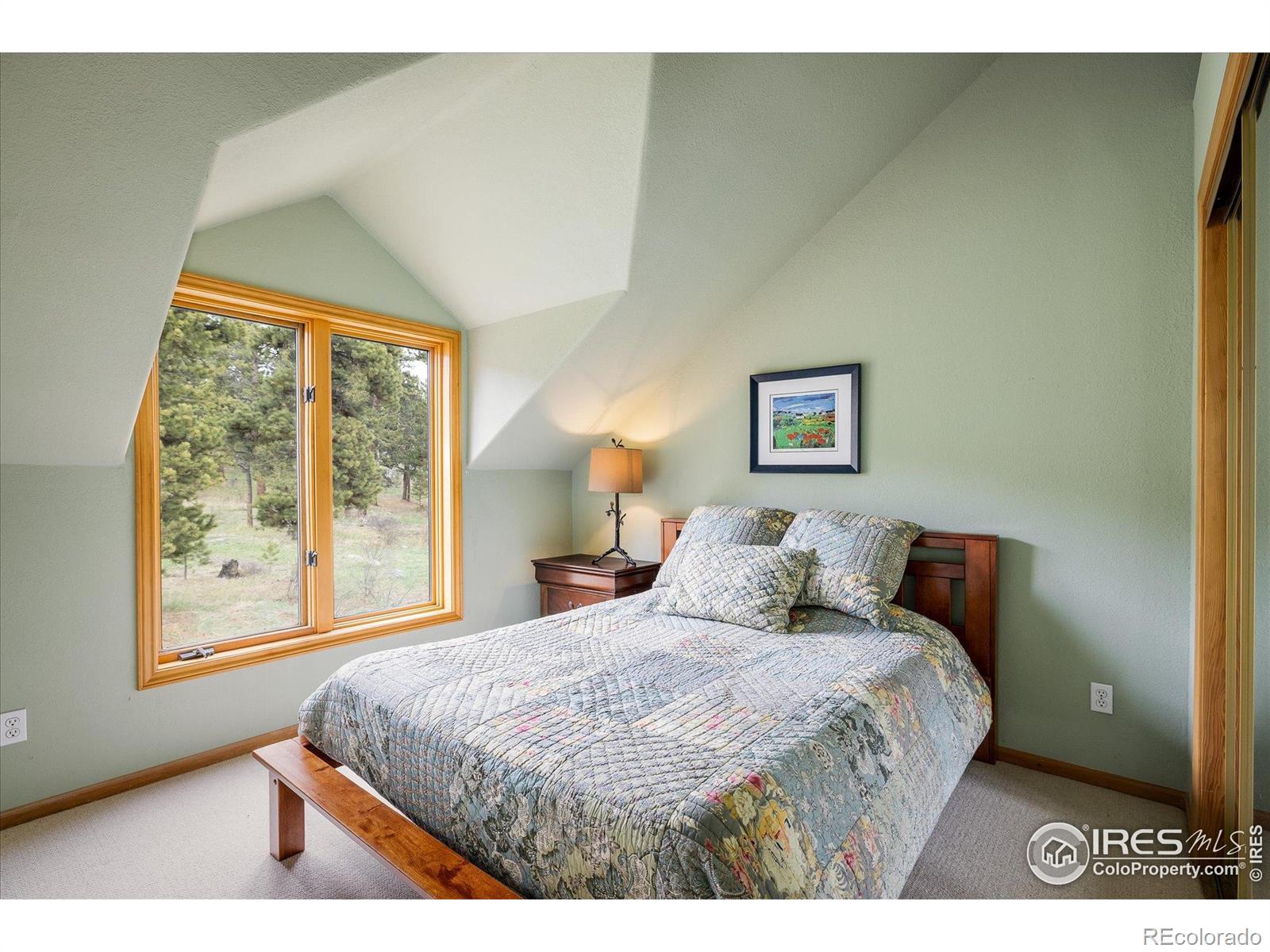 MLS Image #27 for 187  rocky knob lane,nederland, Colorado