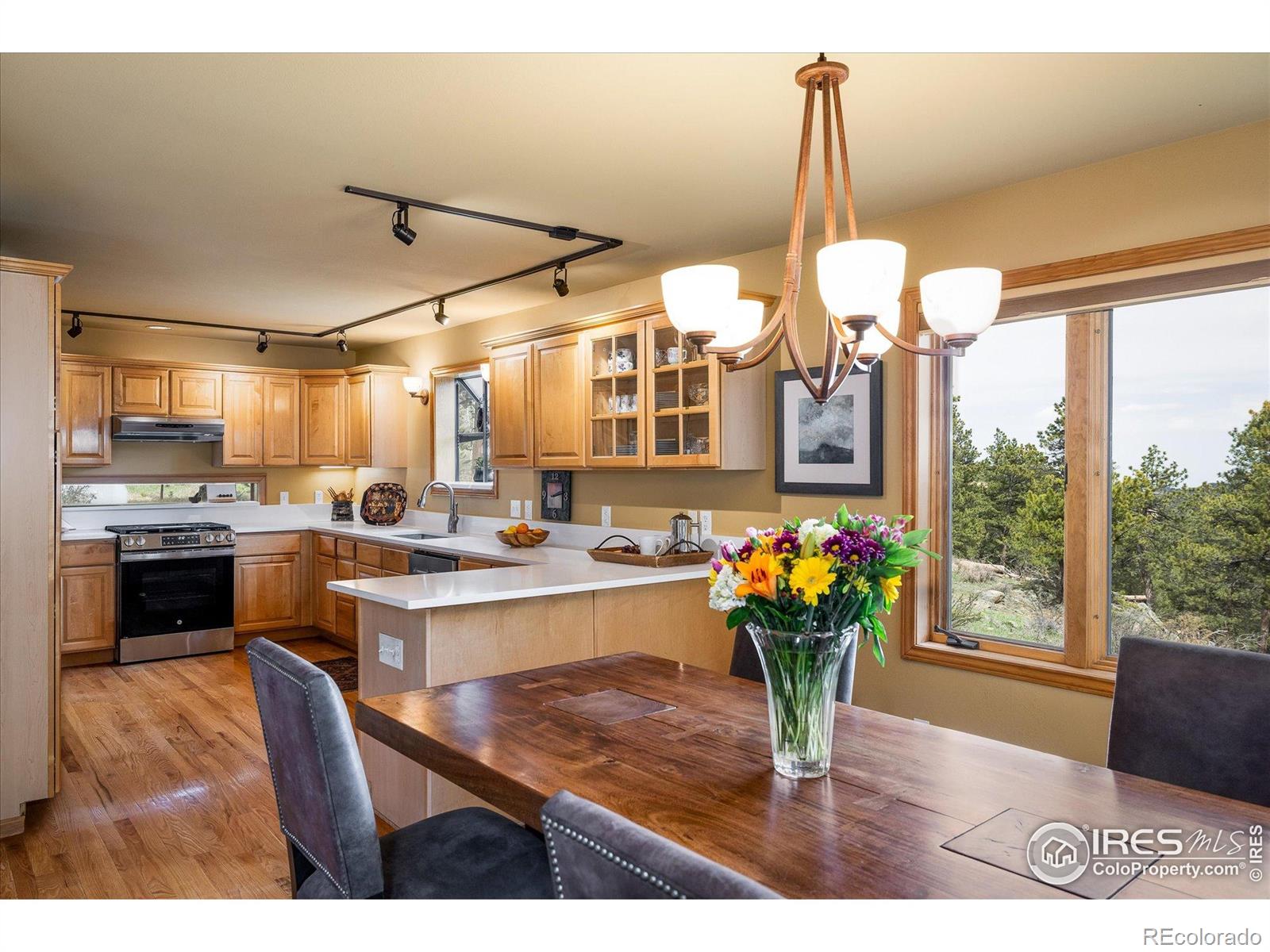 MLS Image #7 for 187  rocky knob lane,nederland, Colorado