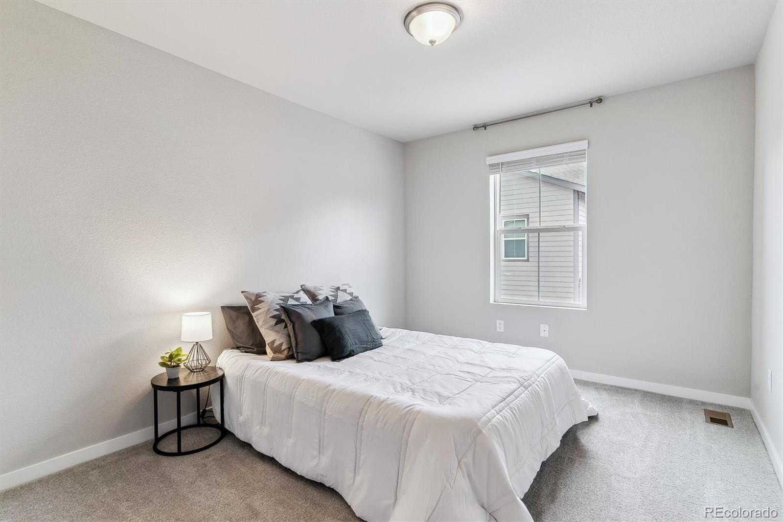 MLS Image #13 for 9836  mount kataka point,littleton, Colorado