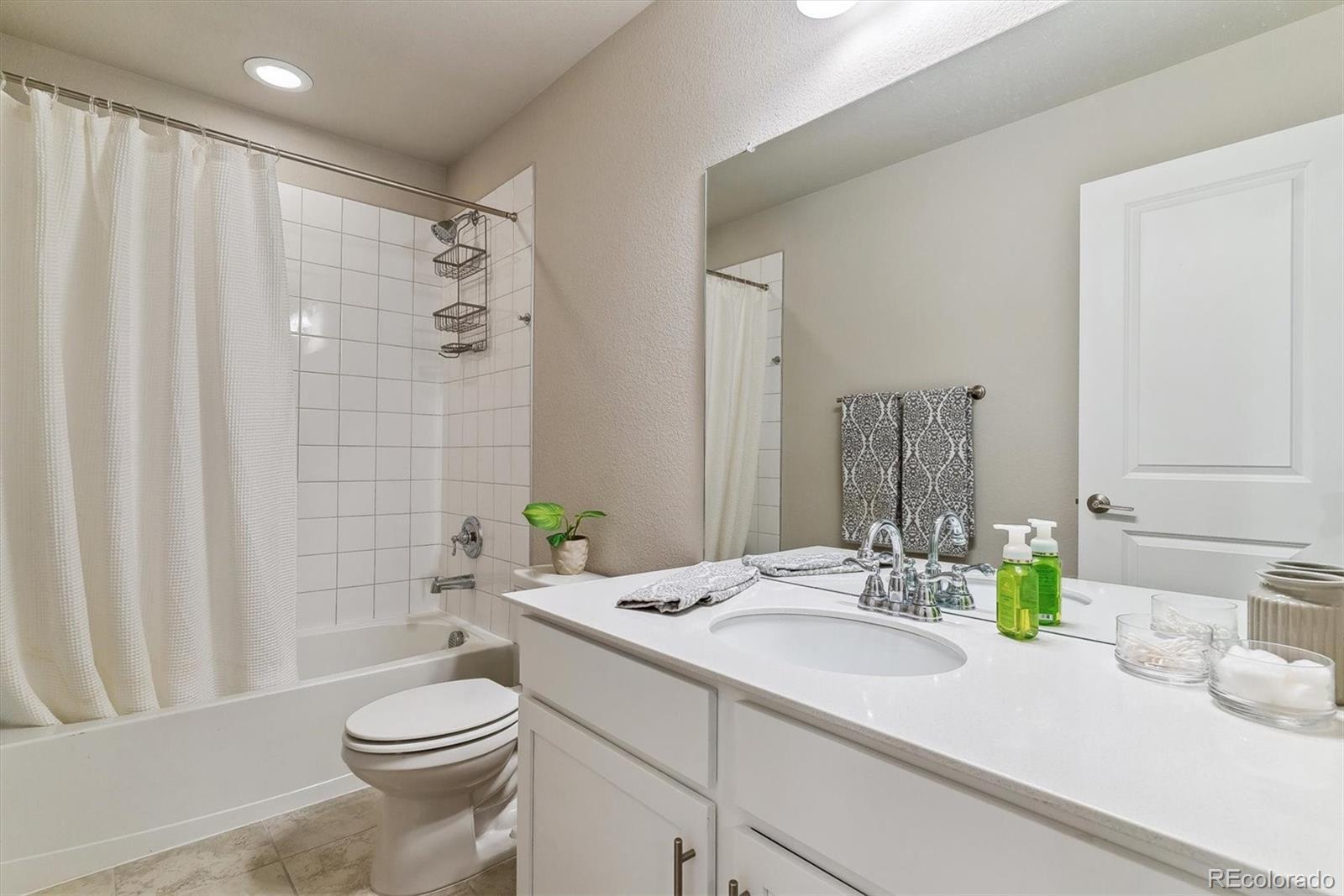 MLS Image #14 for 9836  mount kataka point,littleton, Colorado