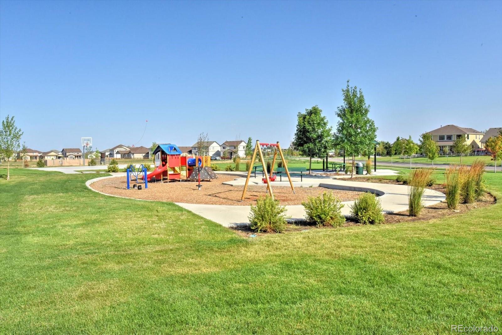 MLS Image #44 for 6317  ruby hill drive,erie, Colorado