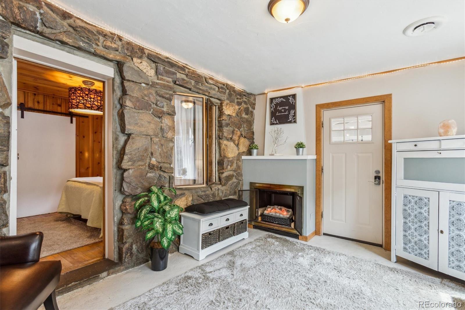 MLS Image #10 for 4364  colorado 103 ,idaho springs, Colorado