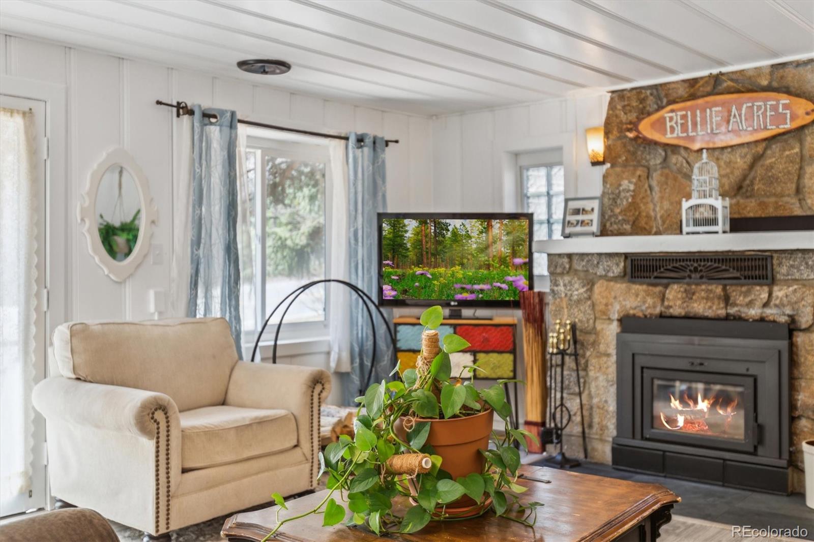 MLS Image #17 for 4364  colorado 103 ,idaho springs, Colorado