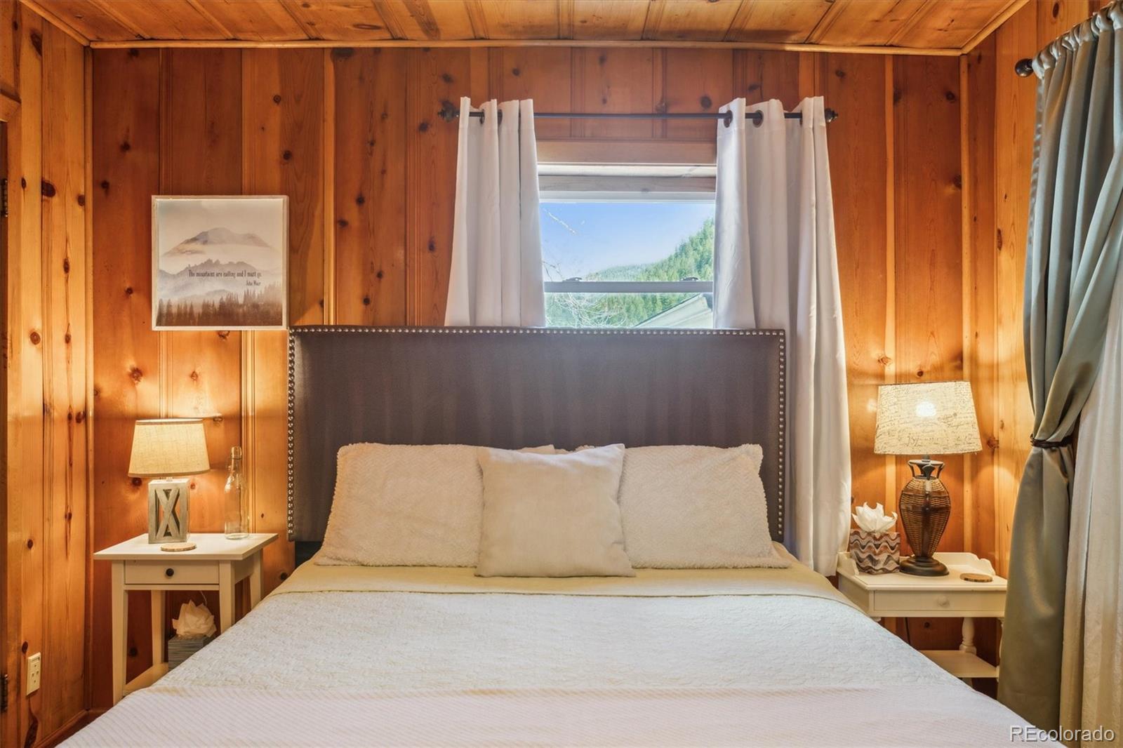 MLS Image #29 for 4364  colorado 103 ,idaho springs, Colorado