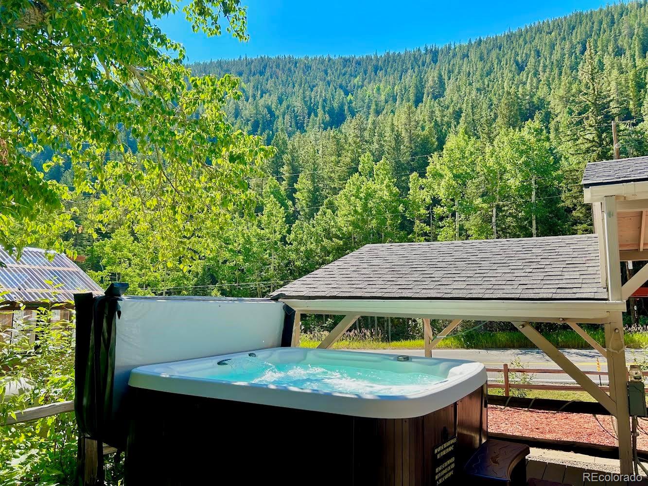 MLS Image #4 for 4364  colorado 103 ,idaho springs, Colorado