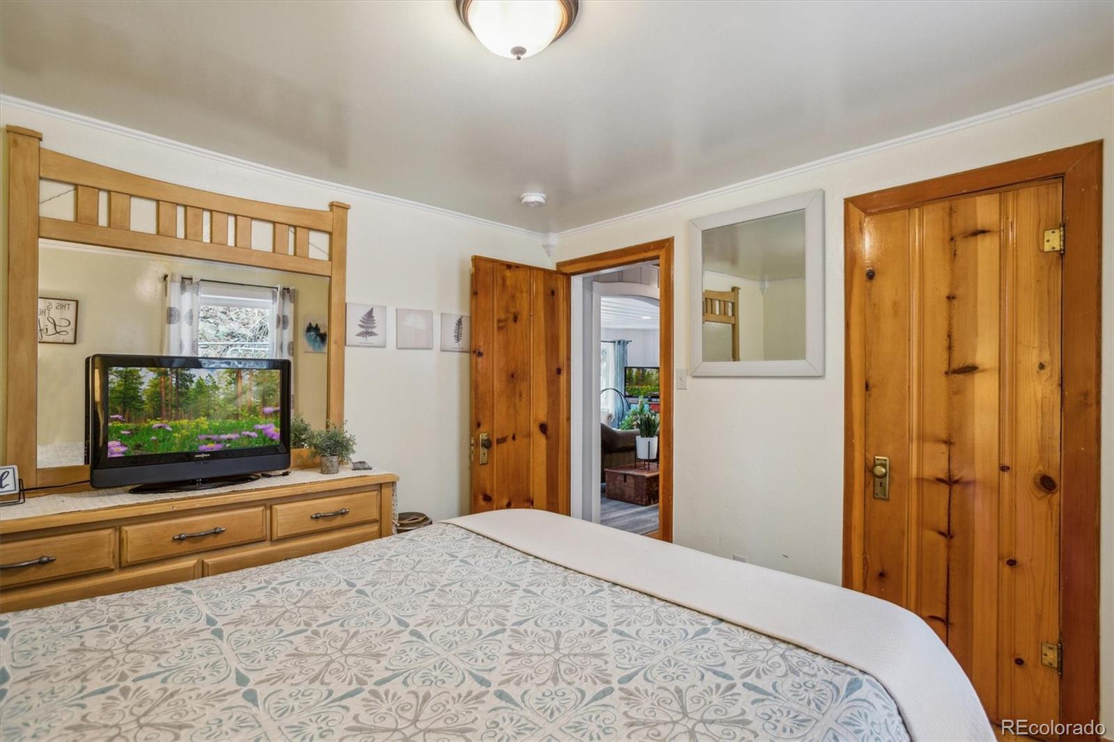 MLS Image #41 for 4364  colorado 103 ,idaho springs, Colorado