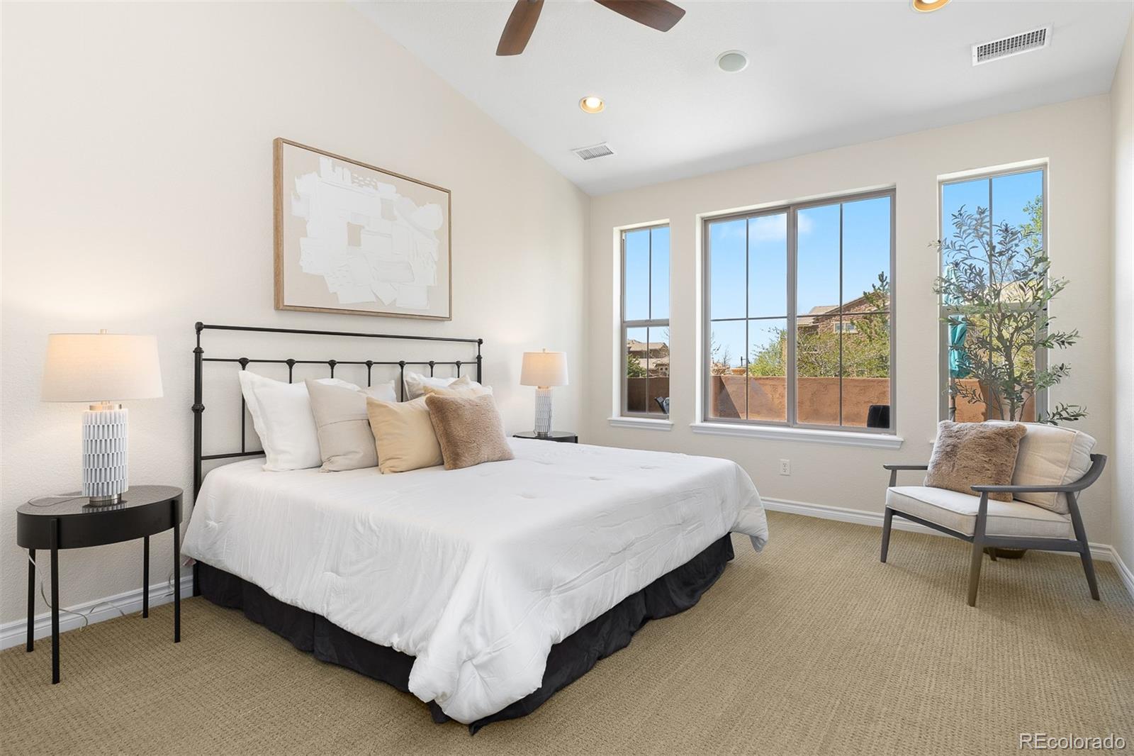 MLS Image #18 for 9450  sori lane ,highlands ranch, Colorado