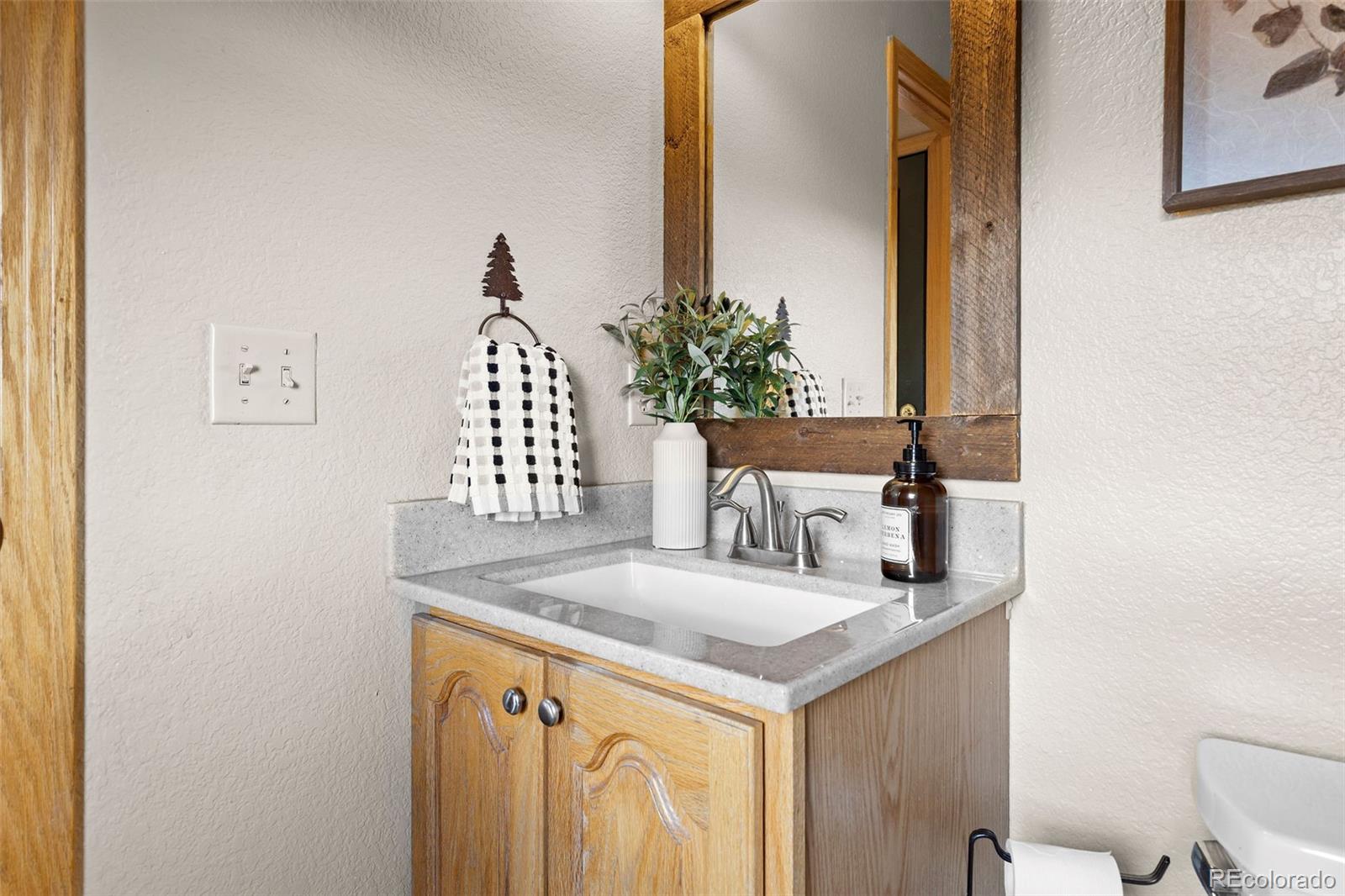 MLS Image #19 for 30717  conifer mountain drive,conifer, Colorado