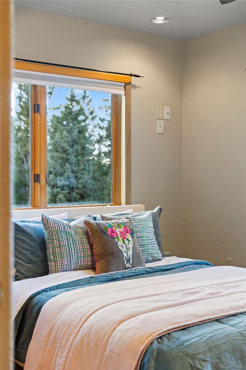 MLS Image #21 for 30717  conifer mountain drive,conifer, Colorado