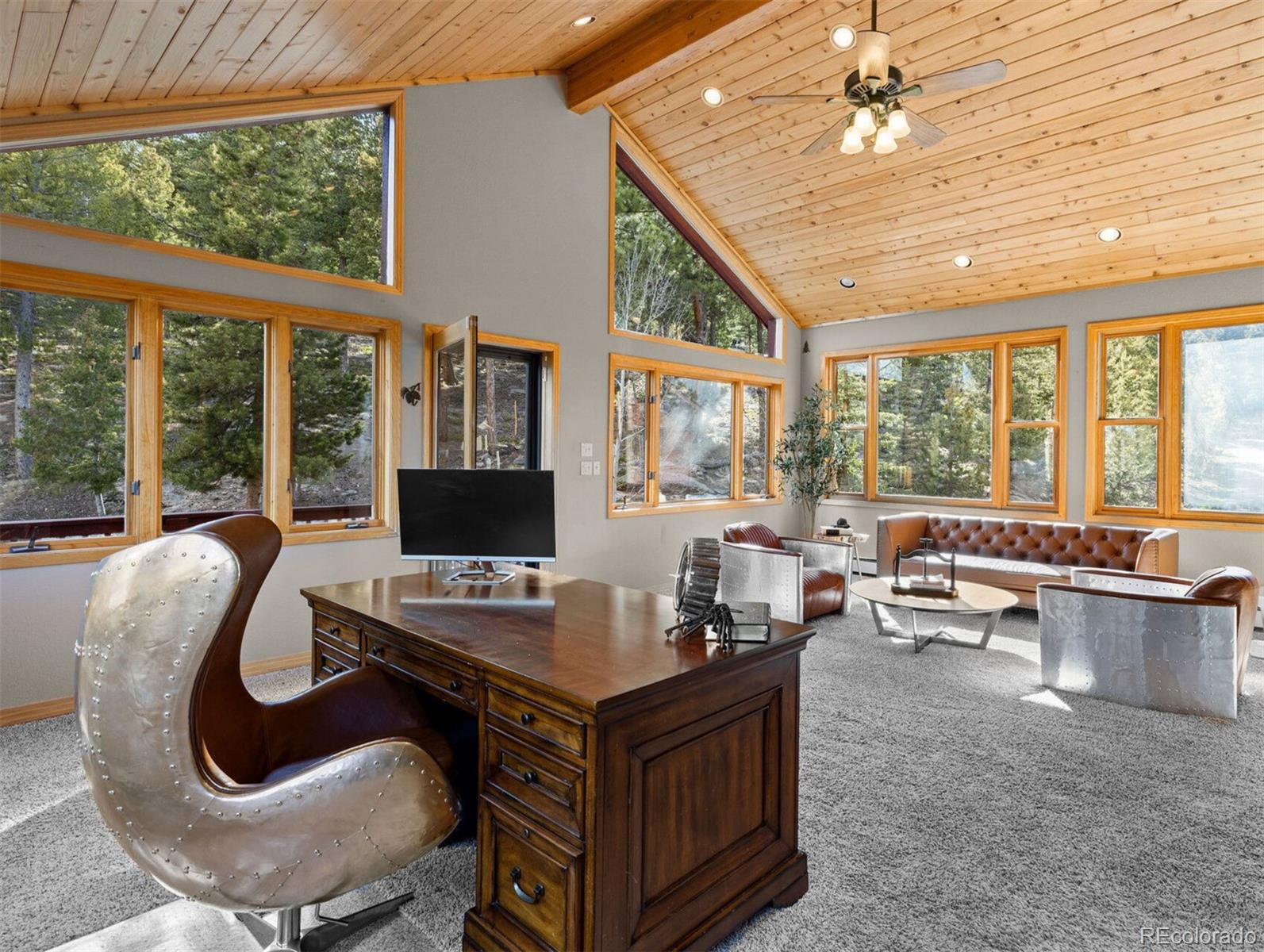 MLS Image #34 for 30717  conifer mountain drive,conifer, Colorado