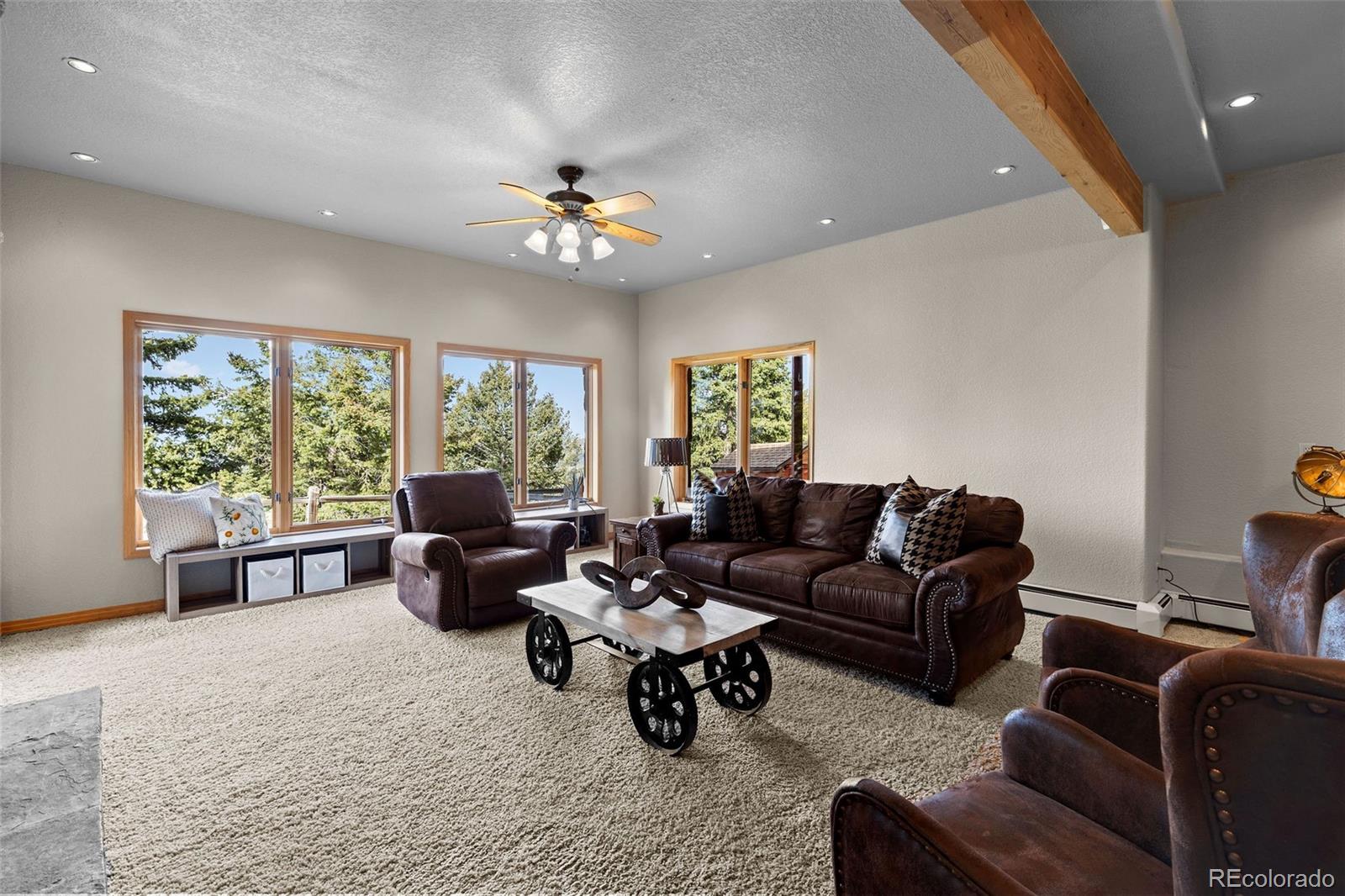 MLS Image #40 for 30717  conifer mountain drive,conifer, Colorado
