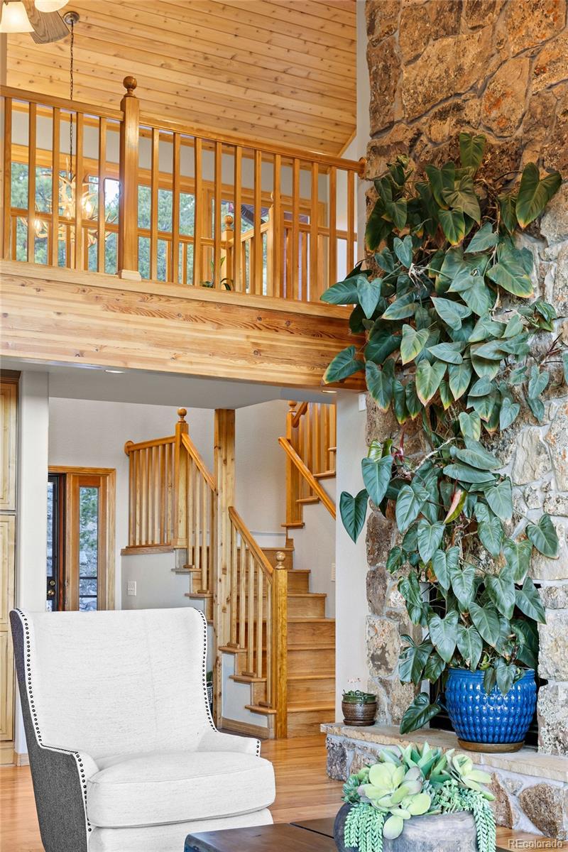 MLS Image #5 for 30717  conifer mountain drive,conifer, Colorado
