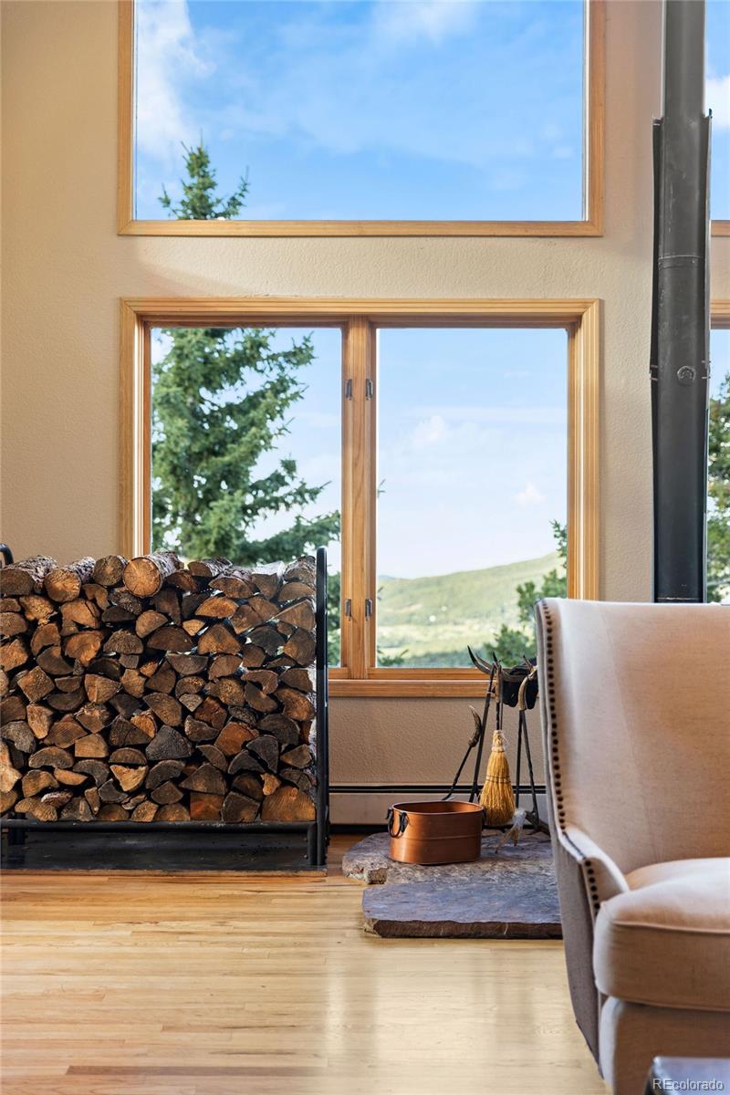 MLS Image #7 for 30717  conifer mountain drive,conifer, Colorado