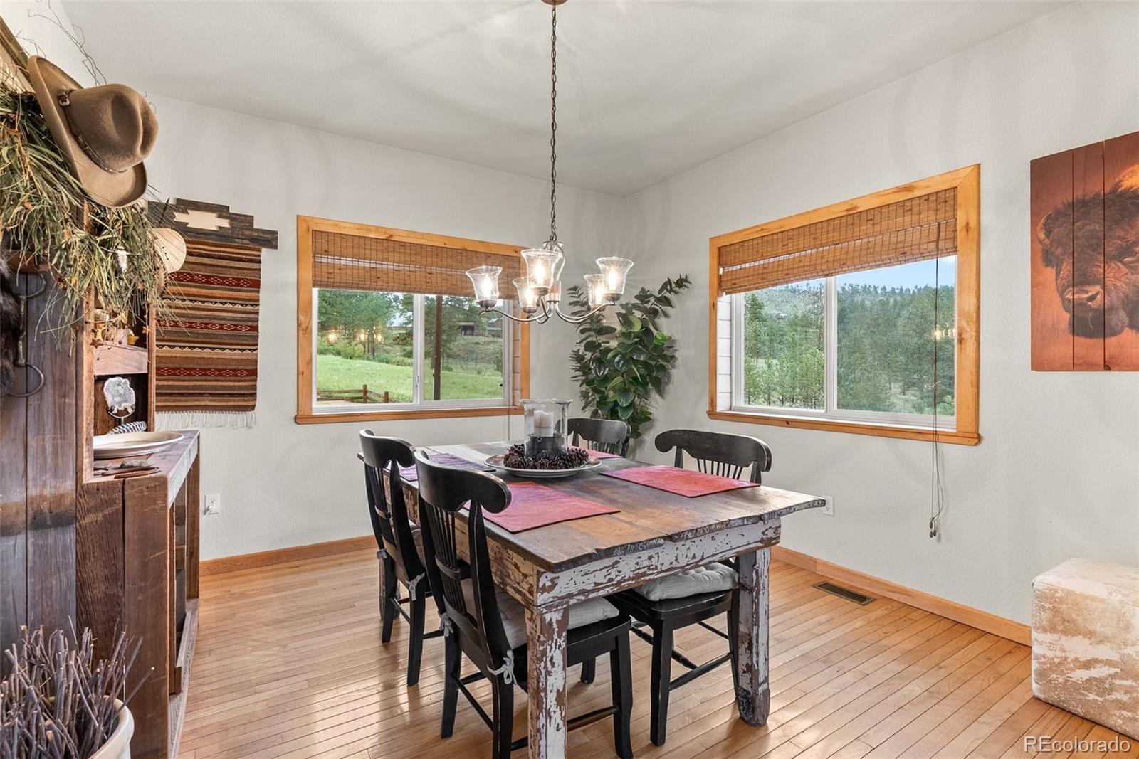 MLS Image #20 for 15608  ouray road,pine, Colorado