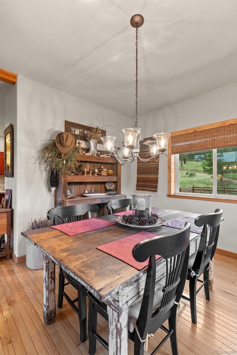 MLS Image #21 for 15608  ouray road,pine, Colorado
