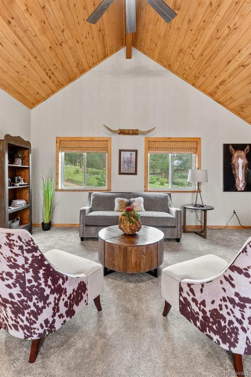 MLS Image #30 for 15608  ouray road,pine, Colorado