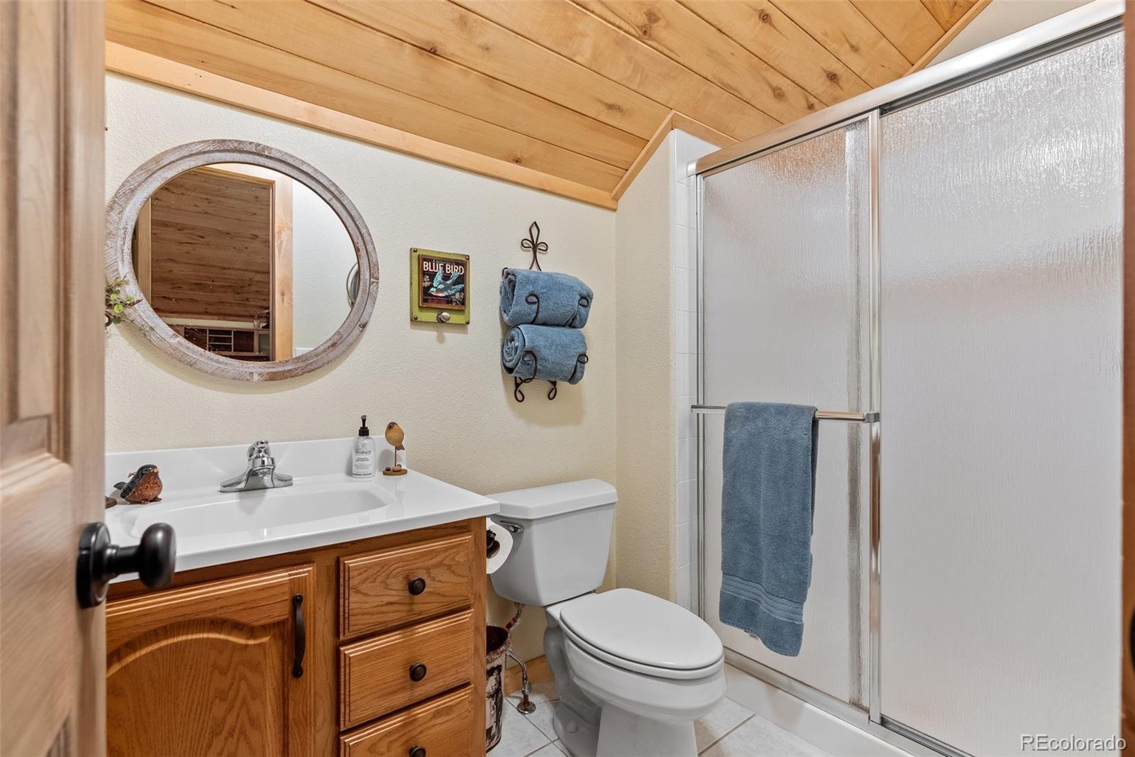 MLS Image #32 for 15608  ouray road,pine, Colorado