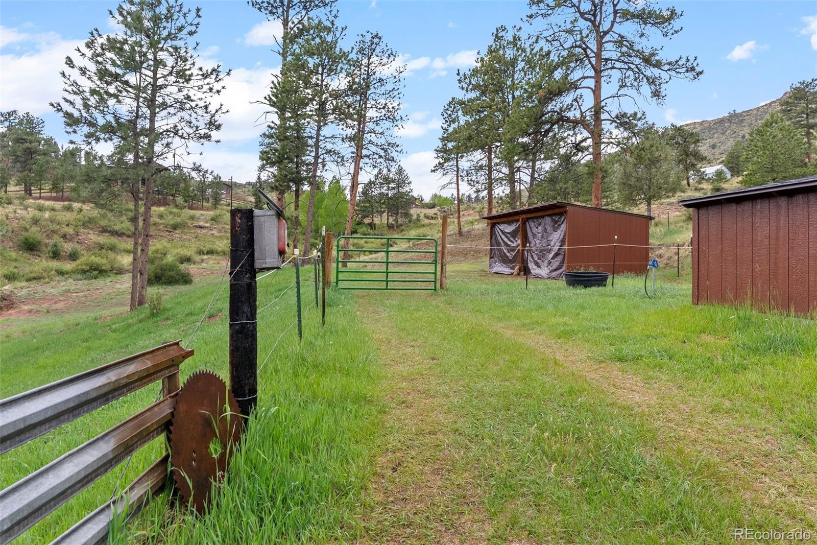 MLS Image #8 for 15608  ouray road,pine, Colorado