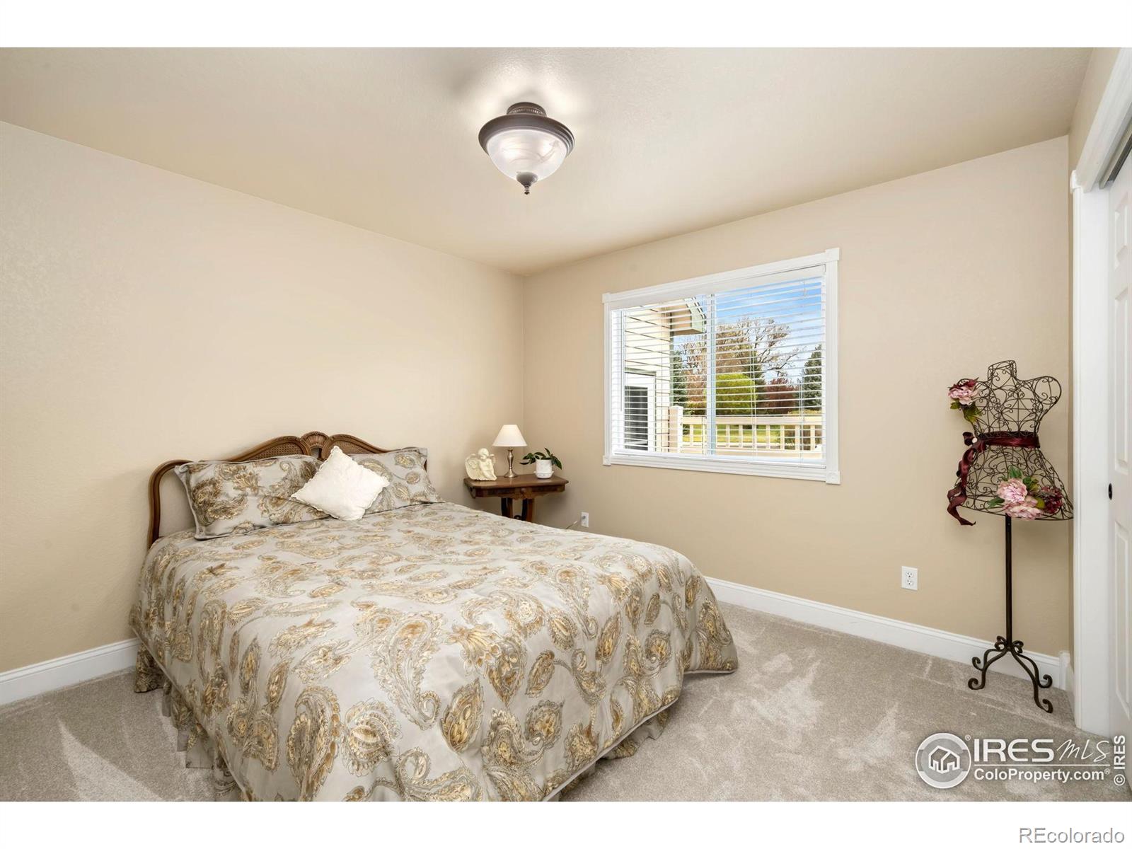 MLS Image #27 for 5013  country farms drive,windsor, Colorado