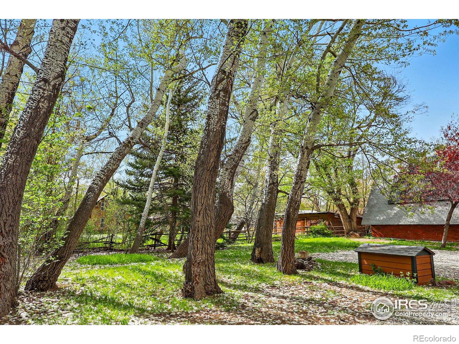 MLS Image #2 for 4731  jay road,boulder, Colorado