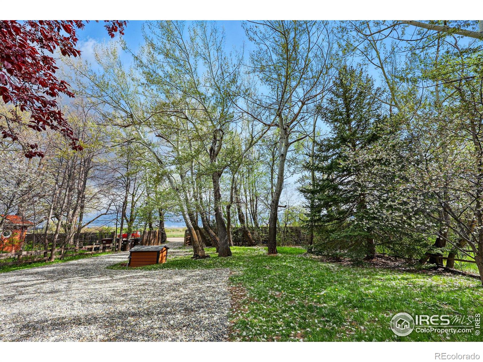 MLS Image #32 for 4731  jay road,boulder, Colorado
