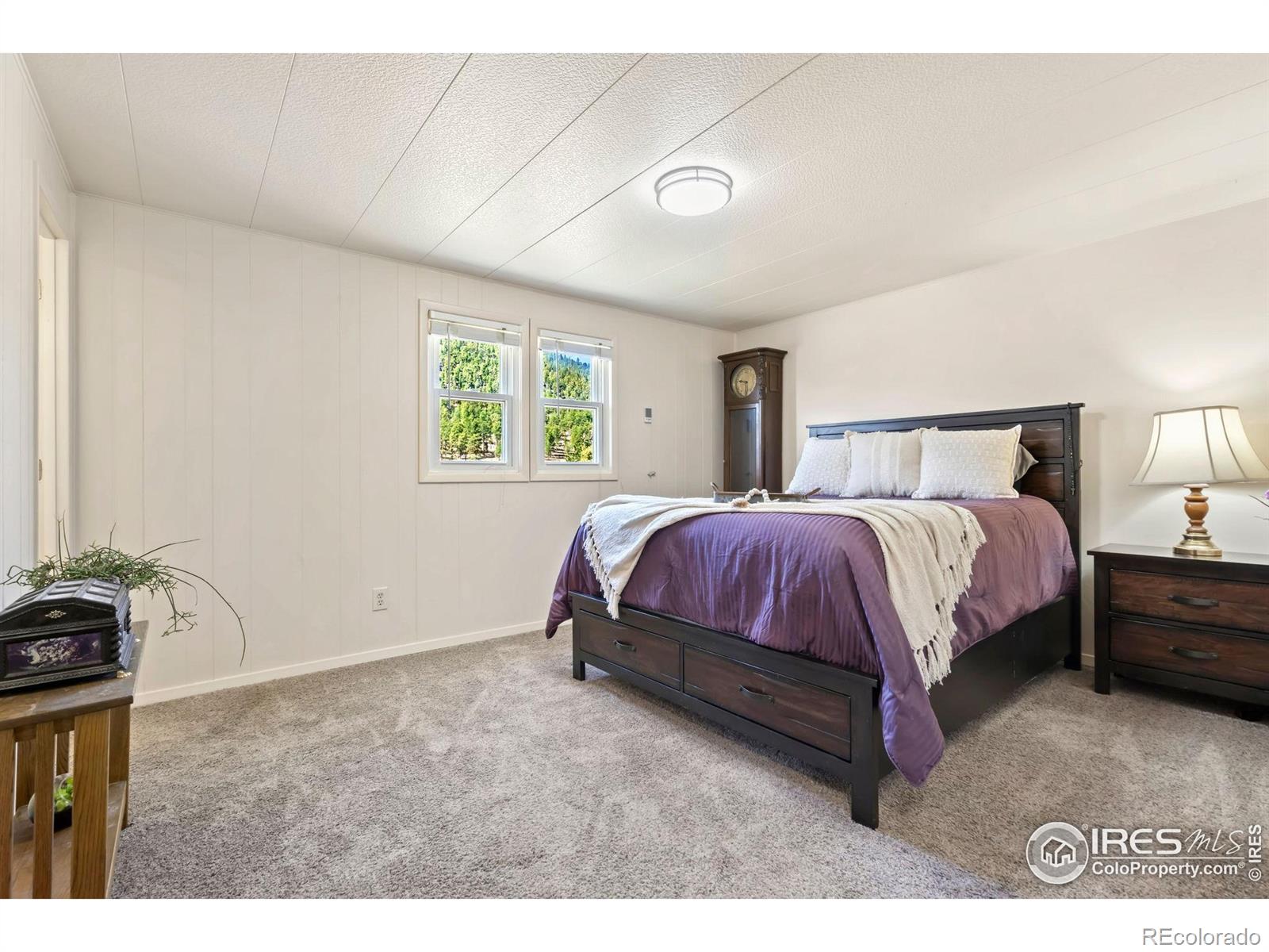 MLS Image #16 for 376  meadowview drive,estes park, Colorado