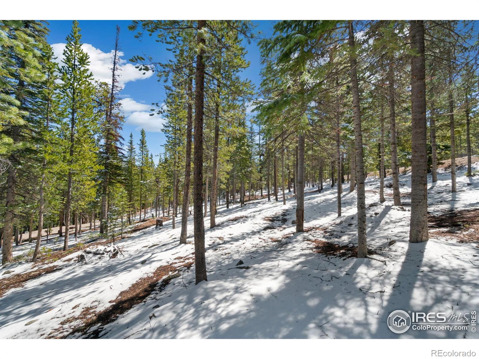 MLS Image #18 for 2356  ottawa way,red feather lakes, Colorado