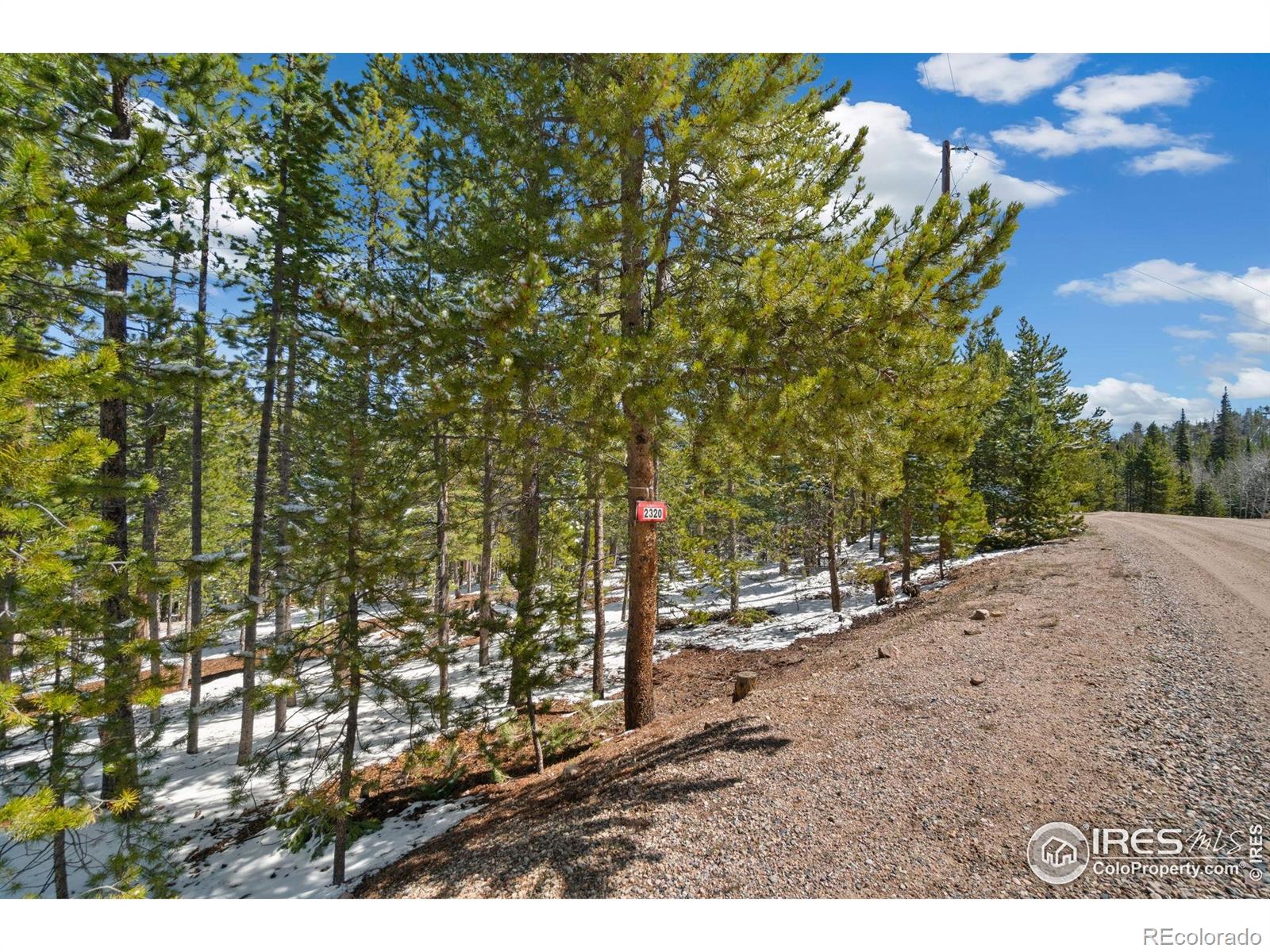 MLS Image #19 for 2356  ottawa way,red feather lakes, Colorado