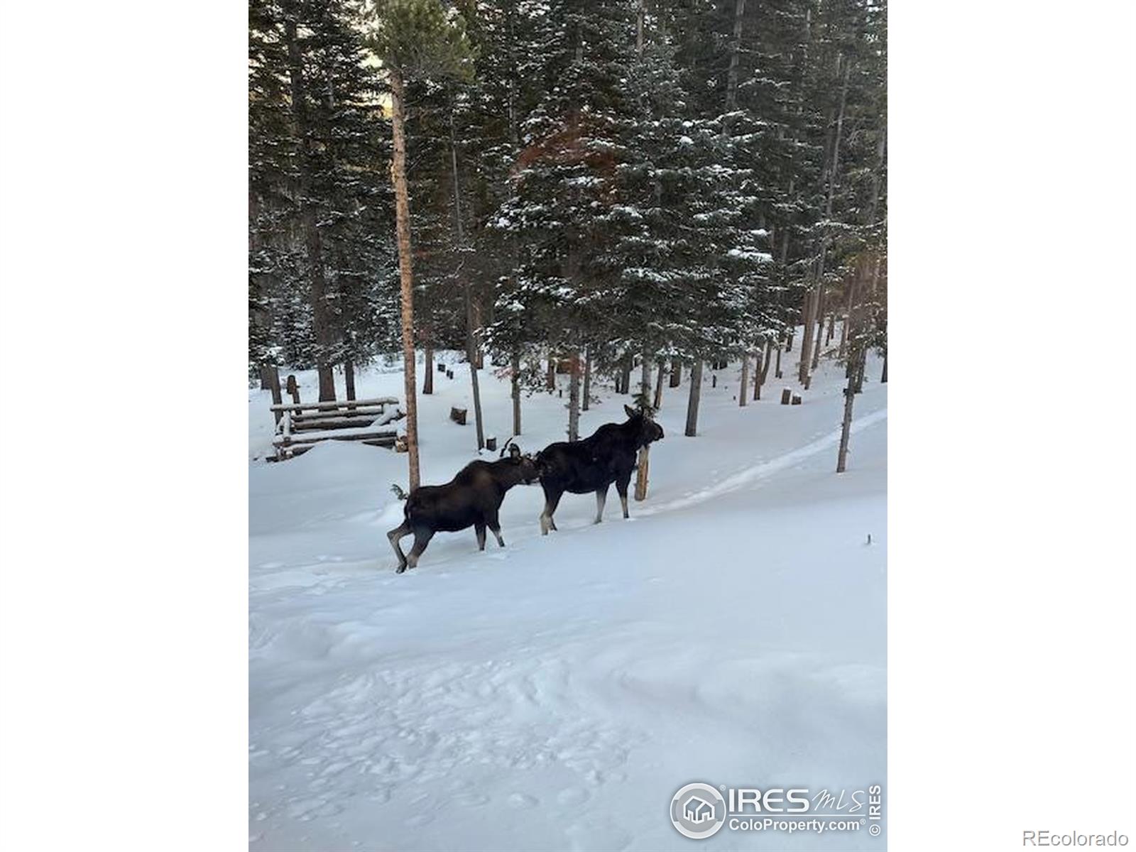MLS Image #22 for 2356  ottawa way,red feather lakes, Colorado