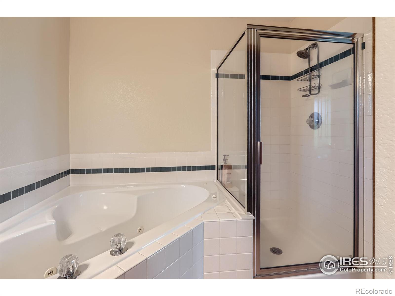 MLS Image #12 for 6318  buchanan street,fort collins, Colorado