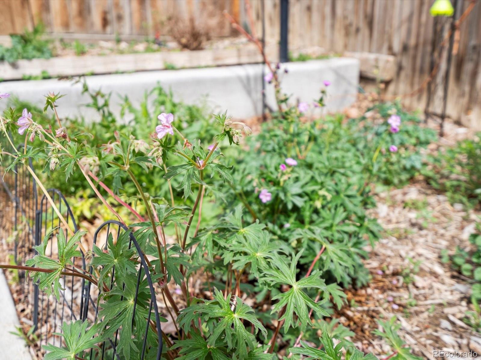 MLS Image #35 for 2433 e 90th avenue,thornton, Colorado