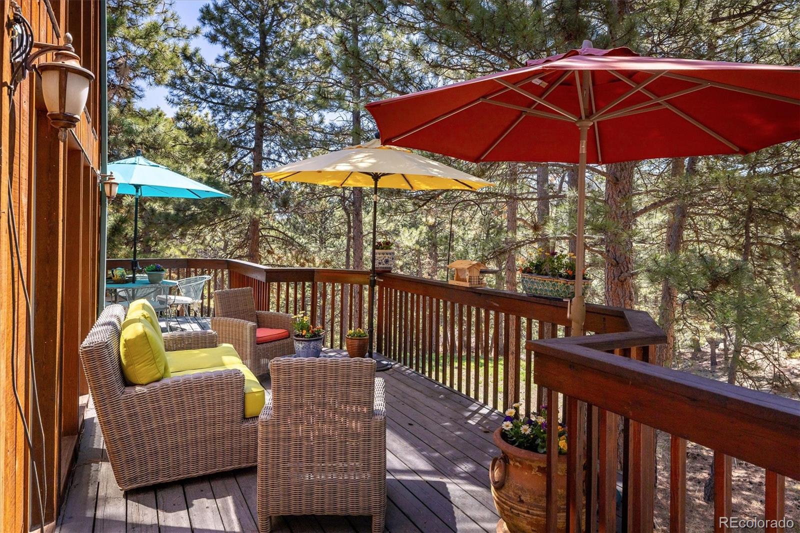 MLS Image #17 for 187  rocky knob lane,nederland, Colorado