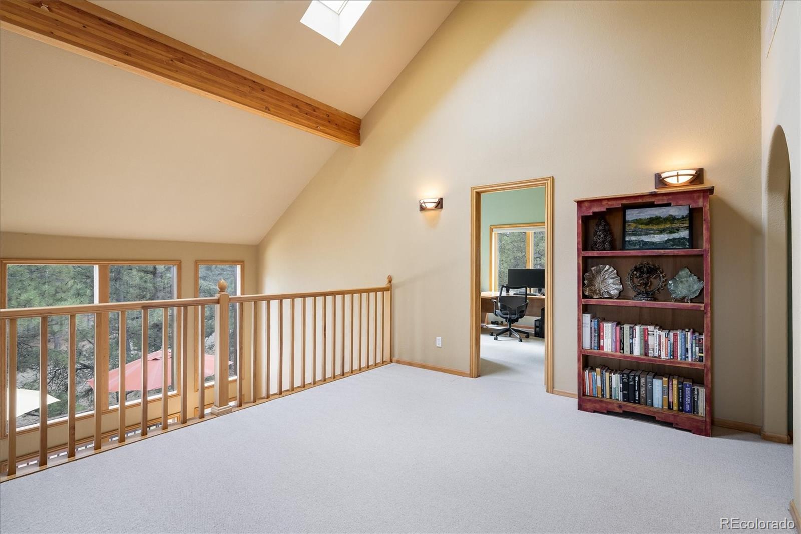 MLS Image #20 for 187  rocky knob lane,nederland, Colorado