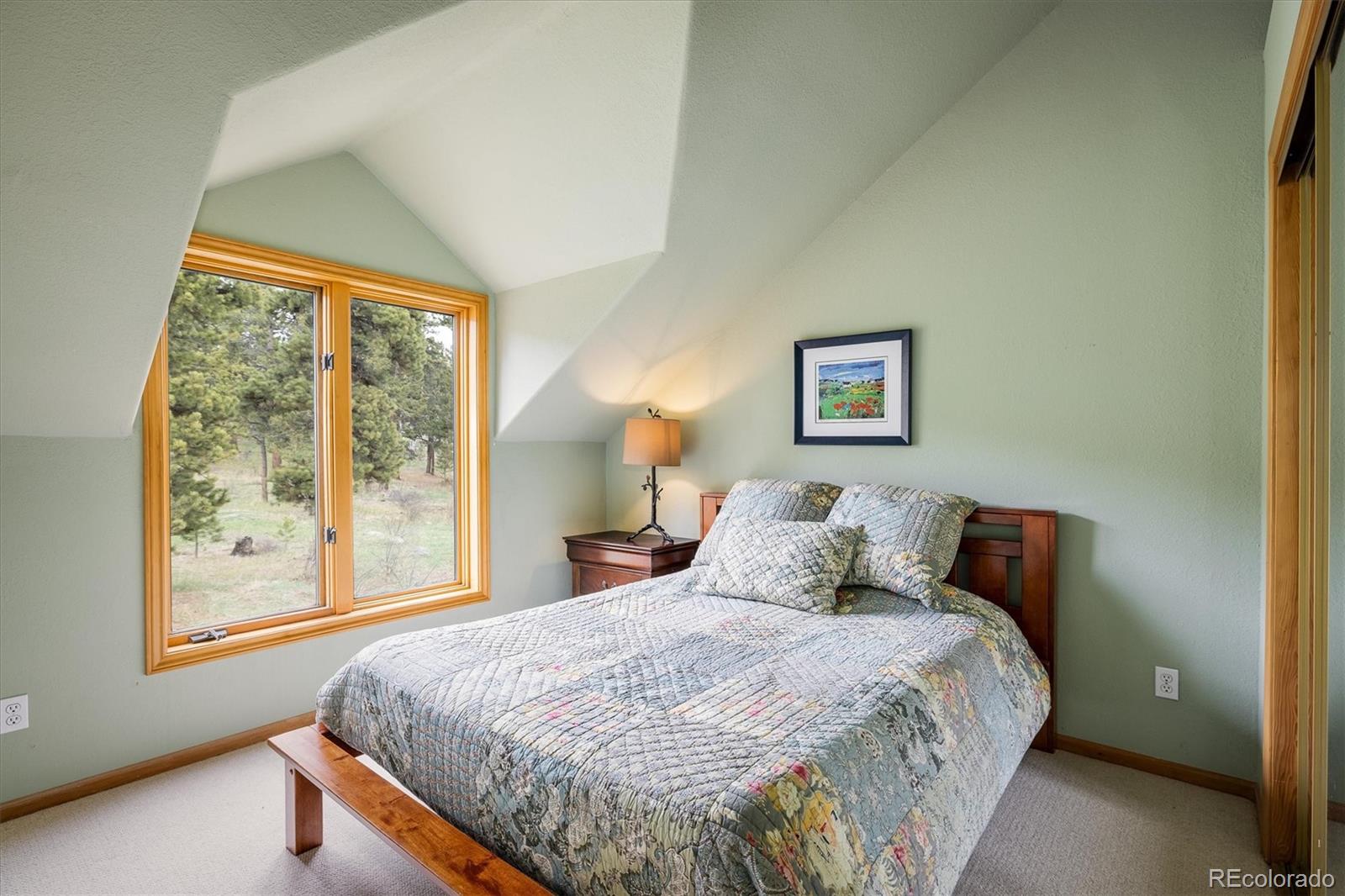 MLS Image #27 for 187  rocky knob lane,nederland, Colorado