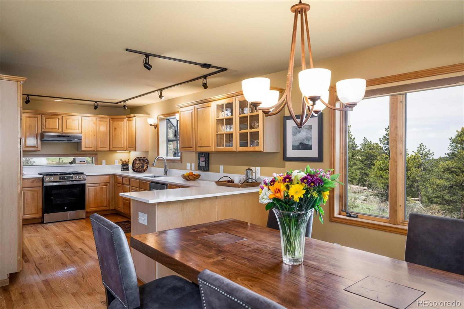 MLS Image #7 for 187  rocky knob lane,nederland, Colorado