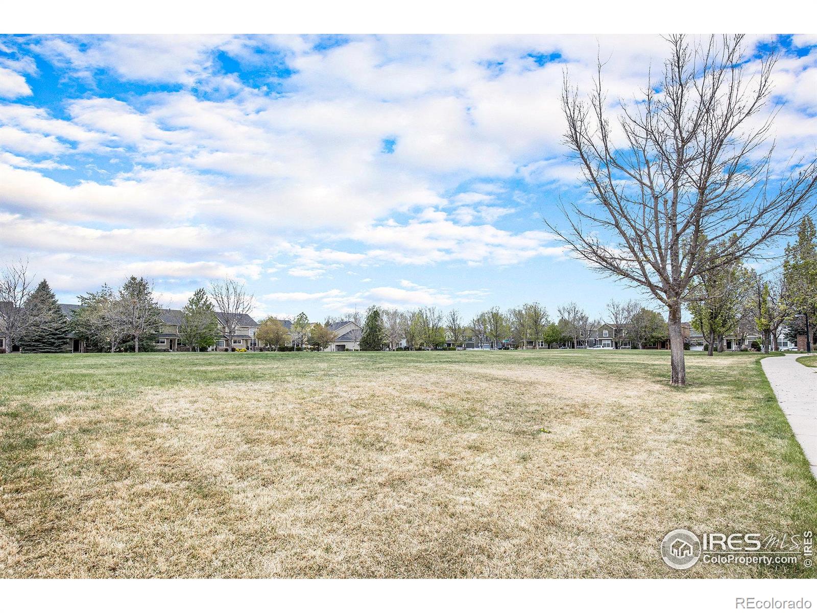 MLS Image #23 for 2833  rock creek drive,fort collins, Colorado