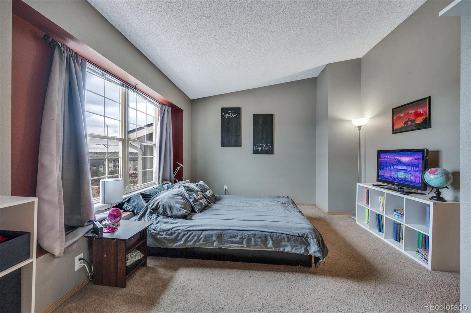 MLS Image #18 for 3831  smoke tree drive,colorado springs, Colorado