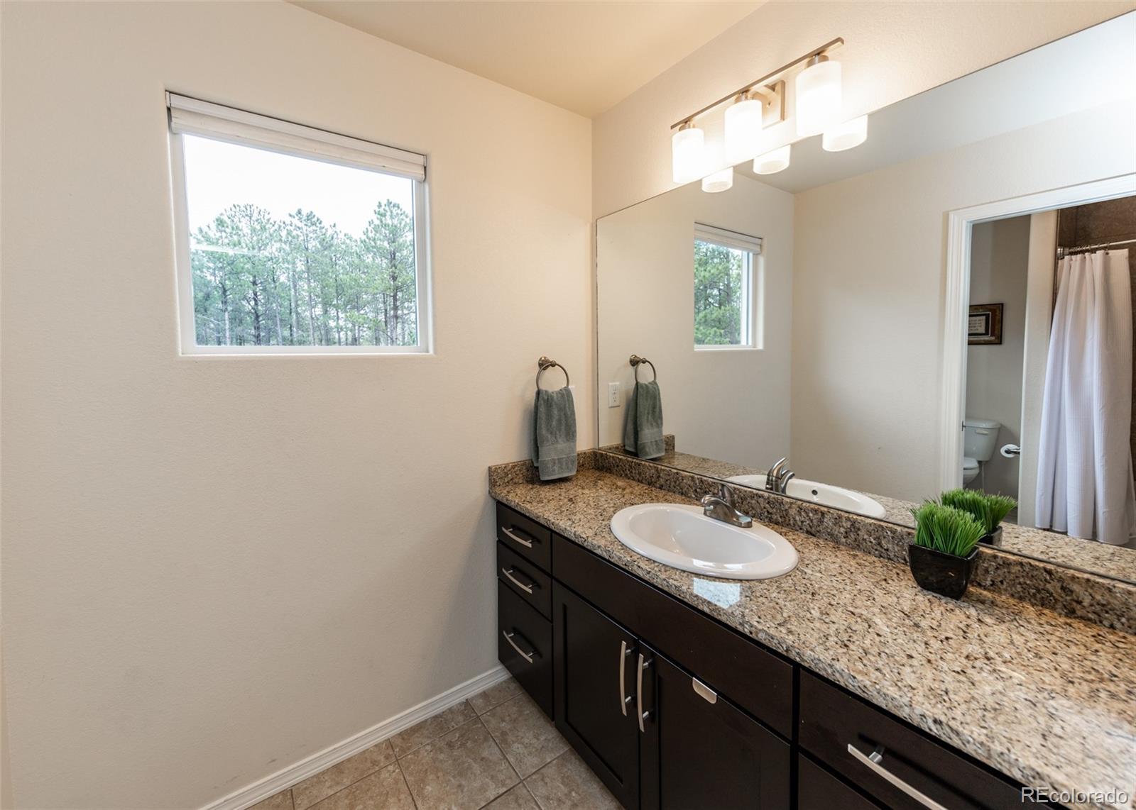 MLS Image #28 for 15948  huckleberry heights,colorado springs, Colorado