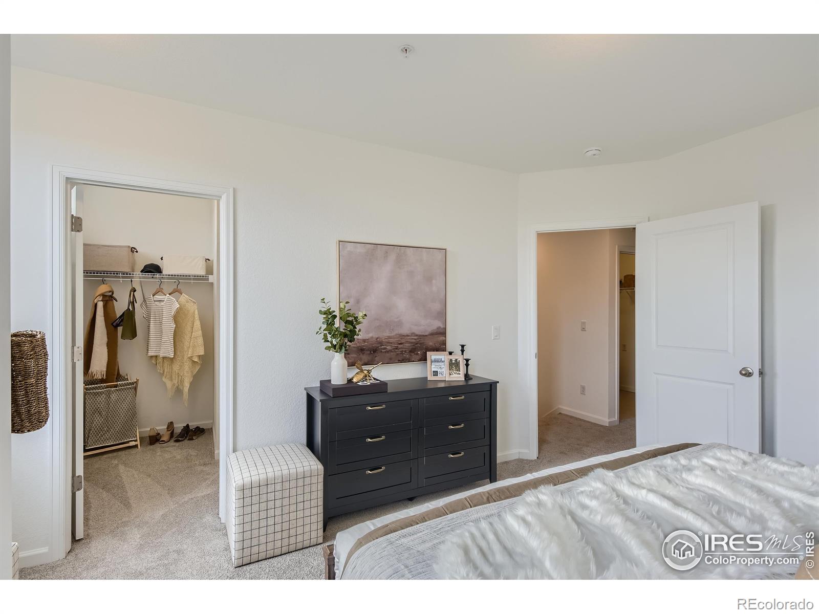 MLS Image #15 for 919  schlagel street,fort collins, Colorado