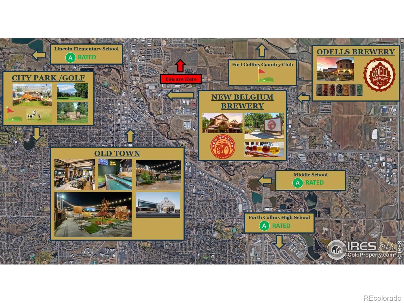 MLS Image #28 for 919  schlagel street,fort collins, Colorado