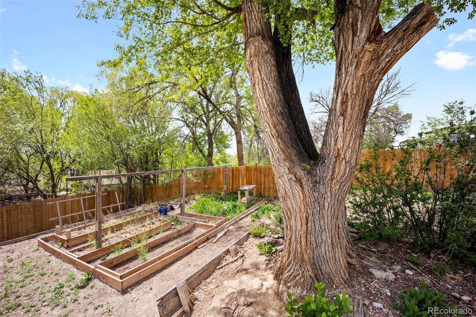 MLS Image #35 for 7118  metropolitan street,colorado springs, Colorado