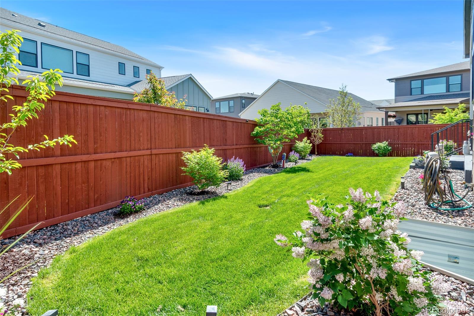 MLS Image #3 for 1881  blossom grove drive,windsor, Colorado