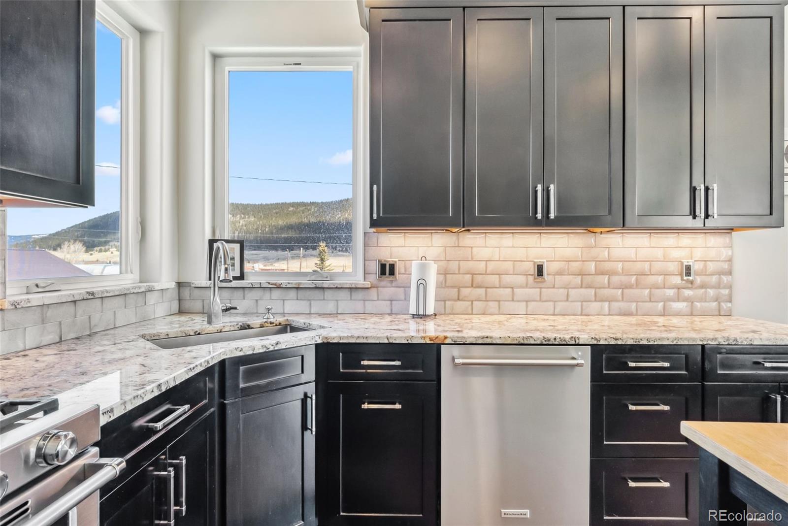MLS Image #12 for 255  flannigan circle,alma, Colorado
